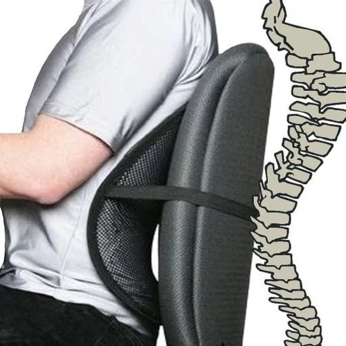 Mesh back support lumbar - mesh,